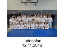 Judosafari 12.11.2016